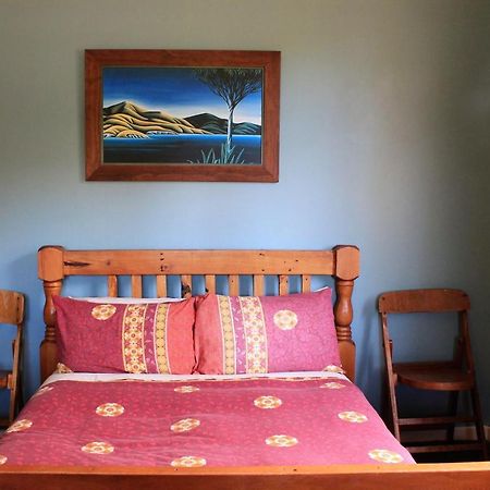 Chester St Backpackers Christchurch Ngoại thất bức ảnh